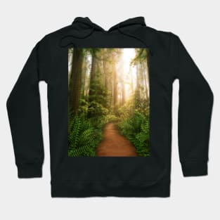 Sanctuary Hoodie